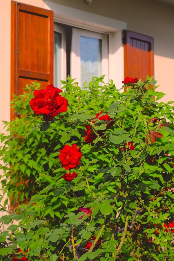 Cantù Aria Di Casa B&B מראה חיצוני תמונה